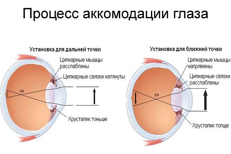 процесс аккомодации глаза